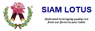 Siam Lotus | Healthy Rice for the World